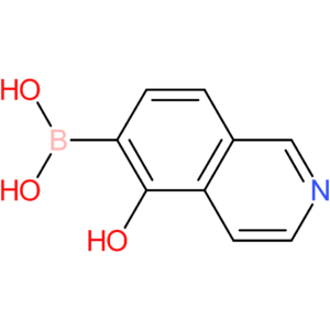 (5-hydroxyisoquinolin-6-yl)boronic acid