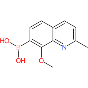 (8-methoxy-2-methyl-7-quinolinyl)boronic acid