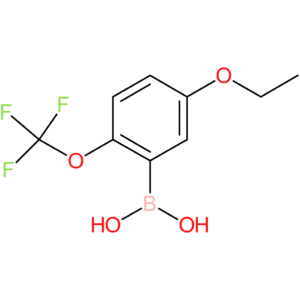 5-ethoxy-2-trifluoromethoxy-phenyl boronic acid
