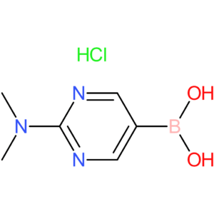 2-dimethylamino-pyrimidine-5-boronic acid hydrochloride