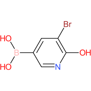 5-bromo-6-hydroxypyridin-3-ylboronic acid