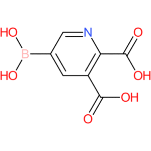 5-boronopyridine-2,3-dicarboxylic acid