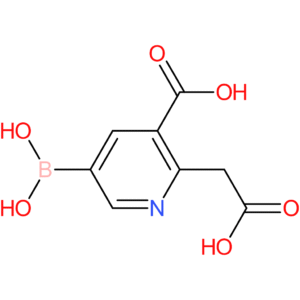 5-borono-2-(carboxymethyl)nicotinic acid