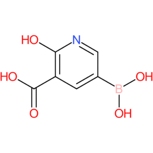 5-(dihydroxyboranyl)-2-hydroxypyridine-3-carboxylic acid