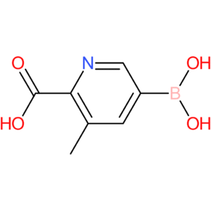 5-(dihydroxyboranyl)-3-methylpyridine-2-carboxylic acid