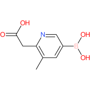 2-(5-borono-3-methylpyridin-2-yl)acetic acid