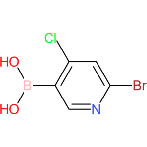 (6-bromo-4-chloropyridin-3-yl)boronic acid