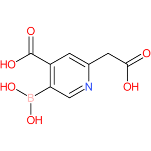 5-borono-2-(carboxymethyl)isonicotinic acid