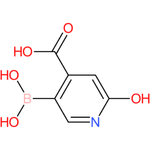 5-(dihydroxyboranyl)-2-hydroxypyridine-4-carboxylic acid