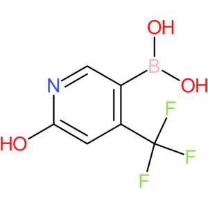 6-hydroxy-4-(trifluoromethyl)pyridin-3-ylboronic acid