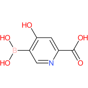 5-(dihydroxyboranyl)-4-hydroxypyridine-2-carboxylic acid