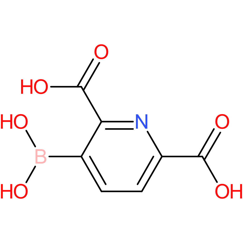 3-boronopyridine-2,6-dicarboxylic acid