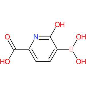 5-borono-6-hydroxypicolinic acid
