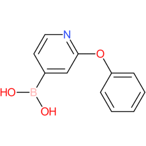 2-phenoxypyridine-4-boronic acid