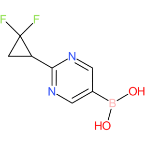 2-(2,2-difluorocyclopropyl)pyrimidine-5-boronic acid