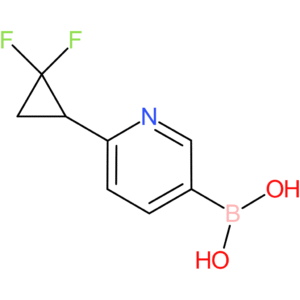 2-(2,2-difluorocyclopropyl)pyridine-5-boronic acid