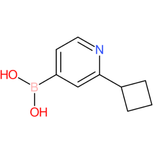 2-cyclobutylpyridine-4-boronic acid
