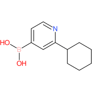 2-(cyclohexyl)pyridine-4-boronic acid