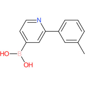 2-(3-tolyl)pyridine-4-boronic acid