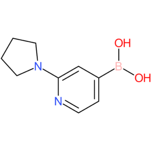 2-(pyrrolidino)pyridine-4-boronic acid