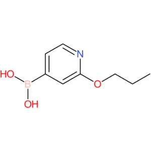 2-(n-propoxy)pyridine-4-boronic acid