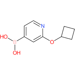 2-(cyclobutoxy)pyridine-4-boronic acid