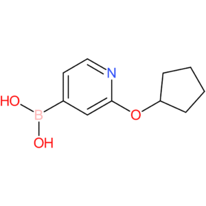 2-(cyclopentoxy)pyridine-4-boronic acid
