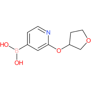 2-(tetrahydrofuran-3-yloxy)pyridine-4-boronic acid