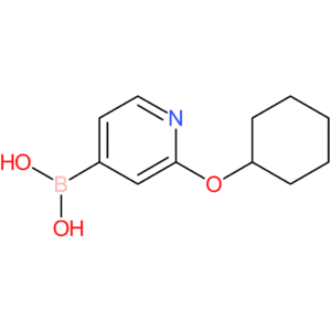 2-(cyclohexyloxy)pyridine-4-boronic acid