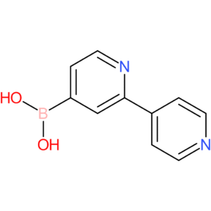 2-(4-pyridyl)pyridine-4-boronic acid