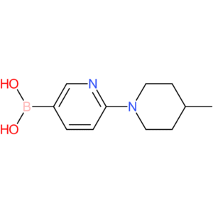 2-(4-methylpiperidin-1-yl)pyridine-5-boronic acid