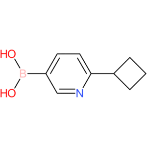 2-(cyclobutyl)pyridine-5-boronic acid