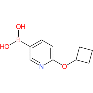 2-(cyclobutoxy)pyridine-5-boronic acid