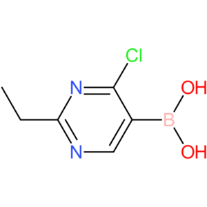 4-chloro-2-ethylpyrimidine-5-boronic acid