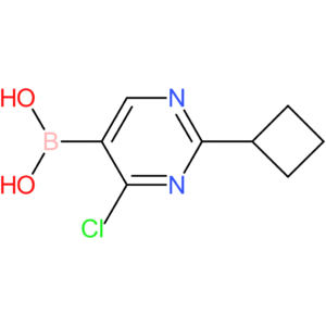 4-chloro-2-(cyclobutyl)pyrimidine-5-boronic acid