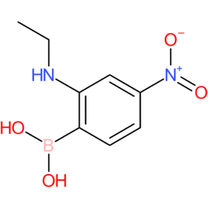2-(ethylamino)-4-nitrophenylboronic acid