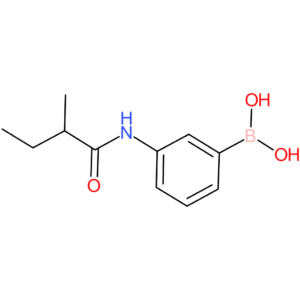 boronic acid, [3-[(2-methyl-1-oxobutyl)amino]phenyl]-