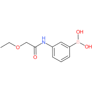 boronic acid, [3-[(ethoxyacetyl)amino]phenyl]-