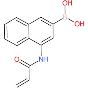 boronic acid, [4-[(1-oxo-2-propenyl)amino]-2-naphthalenyl]-