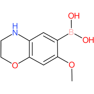 boronic acid, b-(3,4-dihydro-7-methoxy-2h-1,4-benzoxazin-6-yl)-