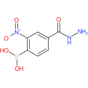 benzoic acid, 4-borono-3-nitro-, 1-hydrazide