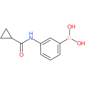 b-[3-[(cyclopropylcarbonyl)amino]phenyl]boronic acid