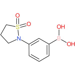 3-(1,1-dioxido-2-isothiazolidinyl)phenylboronic acid