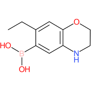 boronic acid, b-(7-ethyl-3,4-dihydro-2h-1,4-benzoxazin-6-yl)-