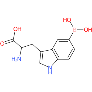 2-amino-3-(5-borono-1h-indol-3-yl)propanoic acid