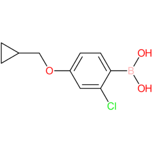 2-chloro-4-(cyclopropylmethoxy)phenylboronic acid