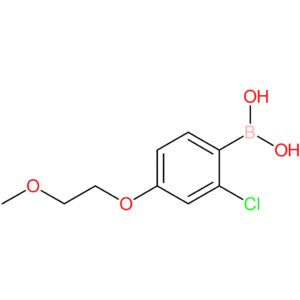 2-chloro-4-(2-methoxyethoxy)phenylboronic acid