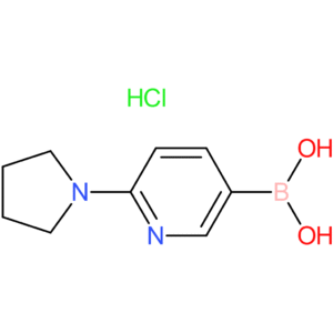 [6-(pyrrolidin-1-yl)pyridin-3-yl]boronic acid hydrochloride