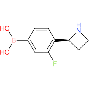 (4-[(2s)-azetidin-2-yl]-3-fluorophenyl)boronic acid