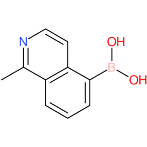 (1-methylisoquinolin-5-yl)boronic acid